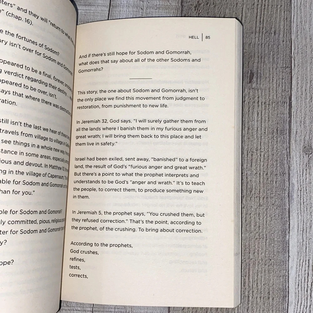 Love Wins by Rob Bell spiritual book - Picture 11 of 13